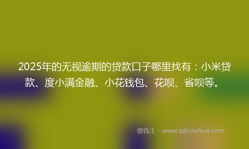 2025年的无视逾期的贷款口子哪里找有：小米贷款、度小满金融、小花钱包、花呗、省呗等。