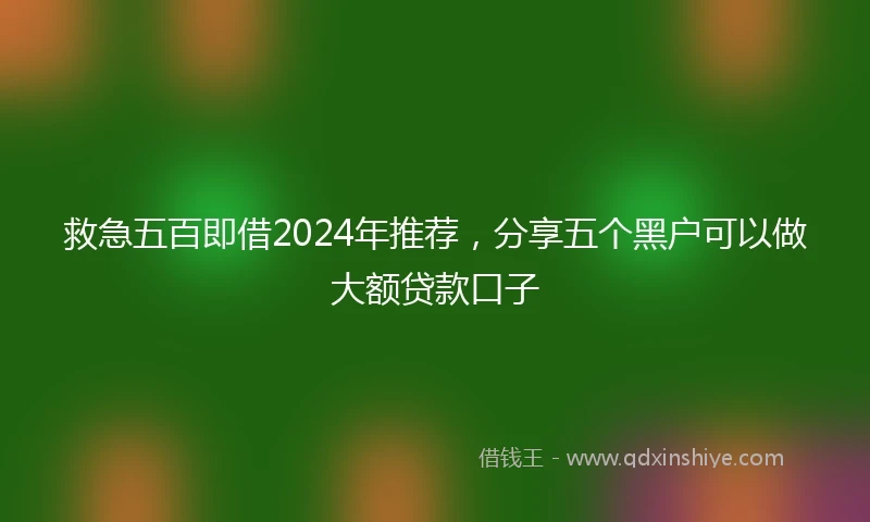 救急五百即借2024年推荐，分享五个黑户可以做大额贷款口子