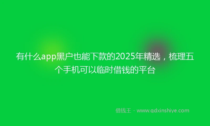 有什么app黑户也能下款的2025年精选，梳理五个手机可以临时借钱的平台