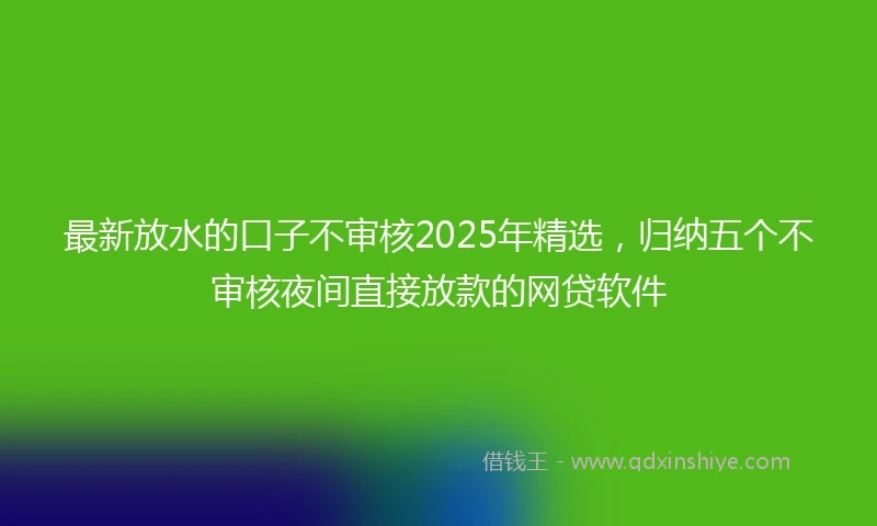最新放水的口子不审核2025年精选，归纳五个不审核夜间直接放款的网贷软件