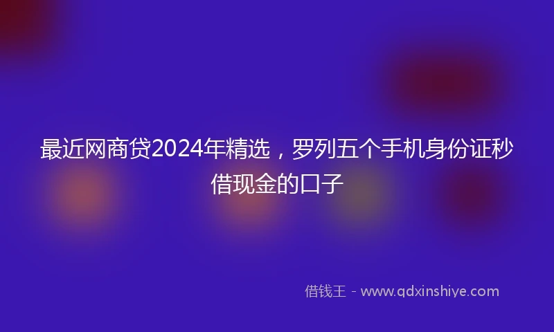 最近网商贷2024年精选，罗列五个手机身份证秒借现金的口子