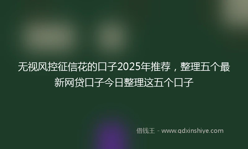 无视风控征信花的口子2025年推荐，整理五个最新网贷口子今日整理这五个口子