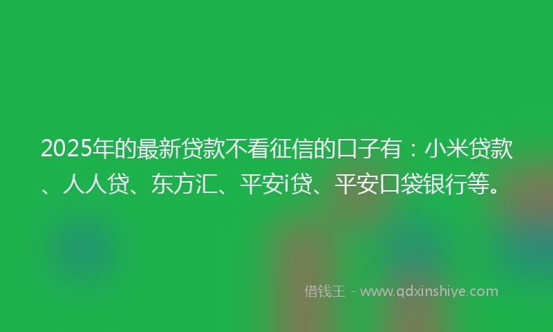 2025年的最新贷款不看征信的口子有：小米贷款、人人贷、东方汇、平安i贷、平安口袋银行等。
