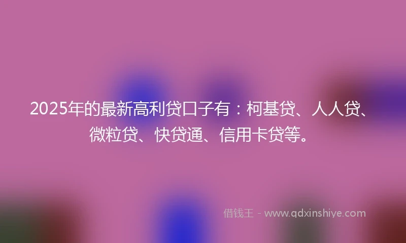2025年的最新高利贷口子有：柯基贷、人人贷、微粒贷、快贷通、信用卡贷等。