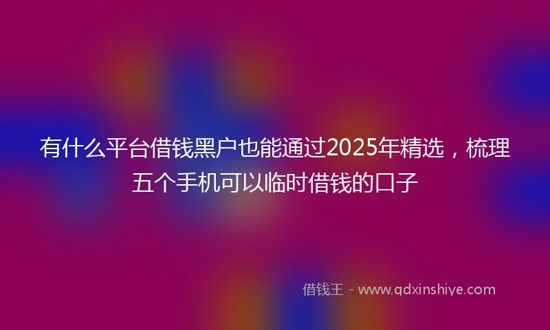 有什么平台借钱黑户也能通过2025年精选，梳理五个手机可以临时借钱的口子