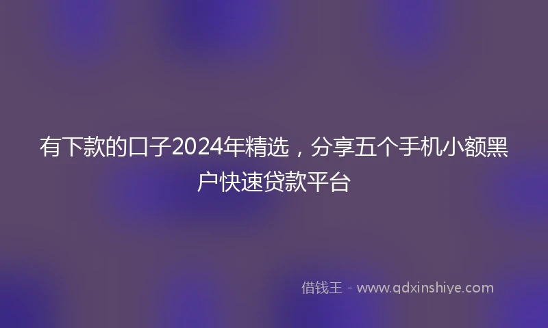 有下款的口子2024年精选,分享五个手机小额黑户快速贷款平台