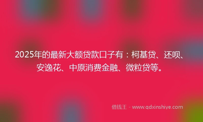 2025年的最新大额贷款口子有：柯基贷、还呗、安逸花、中原消费金融、微粒贷等。