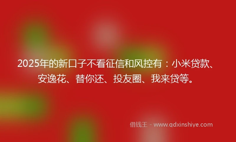 2025年的新口子不看征信和风控有：小米贷款、安逸花、替你还、投友圈、我来贷等。