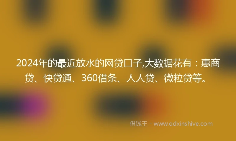 2024年的最近放水的网贷口子,大数据花有：惠商贷、快贷通、360借条、人人贷、微粒贷等。