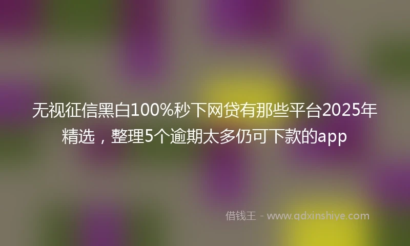 无视征信黑白100%秒下网贷有那些平台2025年精选，整理5个逾期太多仍可下款的app