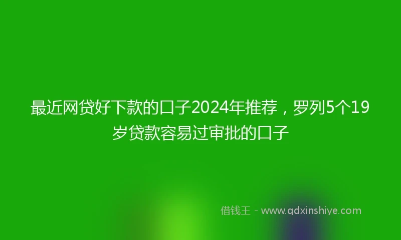 最近网贷好下款的口子2024年推荐，罗列5个19岁贷款容易过审批的口子