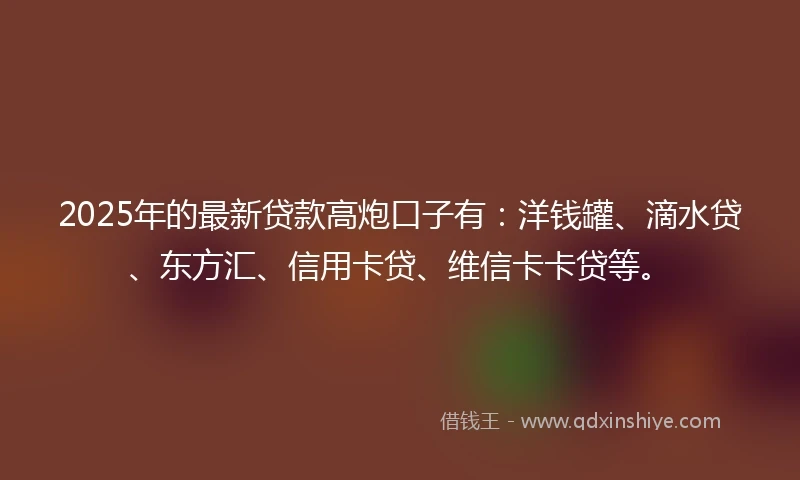 2025年的最新贷款高炮口子有：洋钱罐、滴水贷、东方汇、信用卡贷、维信卡卡贷等。