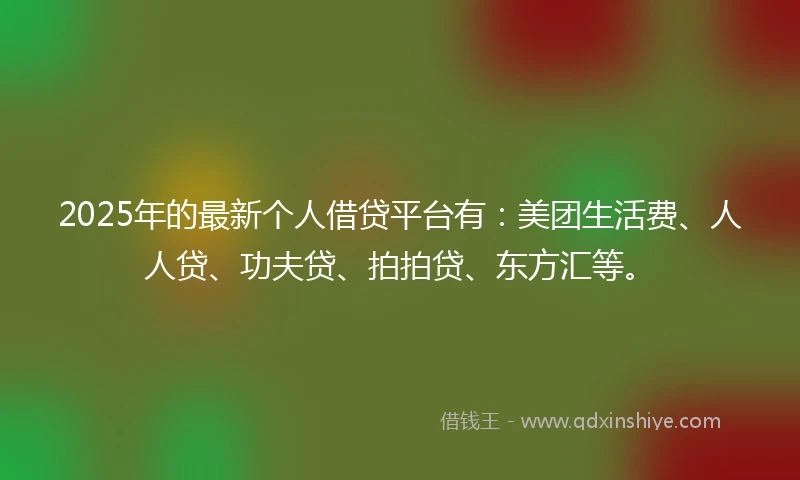 2025年的最新个人借贷平台有：美团生活费、人人贷、功夫贷、拍拍贷、东方汇等。