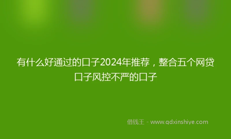 有什么好通过的口子2024年推荐，整合五个网贷口子风控不严的口子