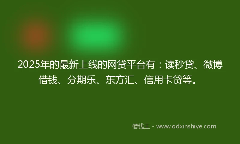 2025年的最新上线的网贷平台有：读秒贷、微博借钱、分期乐、东方汇、信用卡贷等。