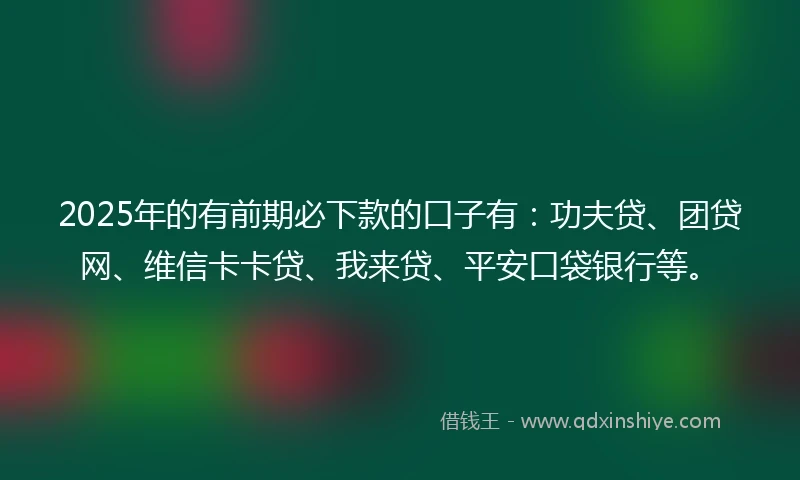 2025年的有前期必下款的口子有：功夫贷、团贷网、维信卡卡贷、我来贷、平安口袋银行等。