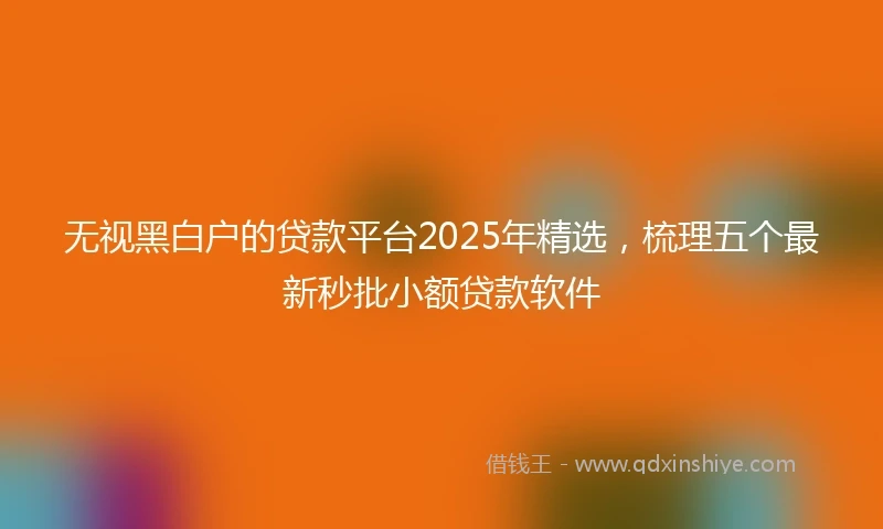 无视黑白户的贷款平台2025年精选，梳理五个最新秒批小额贷款软件