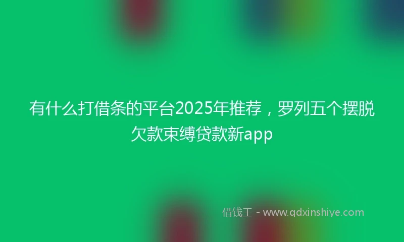 有什么打借条的平台2025年推荐，罗列五个摆脱欠款束缚贷款新app