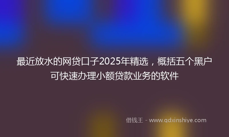 最近放水的网贷口子2025年精选，概括五个黑户可快速办理小额贷款业务的软件