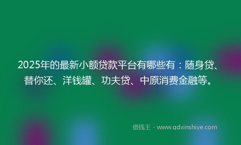 2025年的最新小额贷款平台有哪些有：随身贷、替你还、洋钱罐、功夫贷、中原消费金融等。