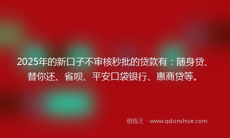 2025年的新口子不审核秒批的贷款有：随身贷、替你还、省呗、平安口袋银行、惠商贷等。