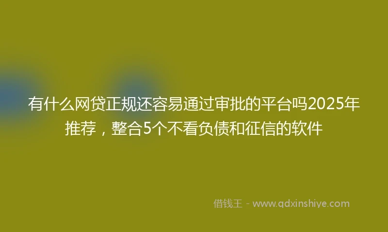 有什么网贷正规还容易通过审批的平台吗2025年推荐，整合5个不看负债和征信的软件