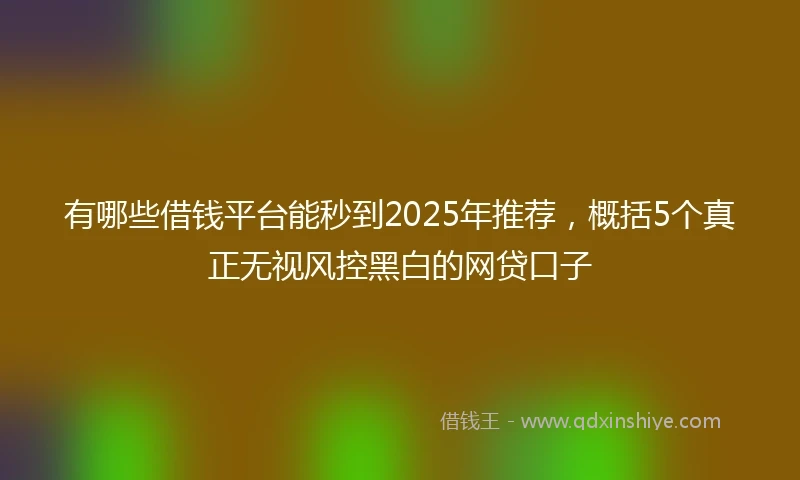 有哪些借钱平台能秒到2025年推荐，概括5个真正无视风控黑白的网贷口子