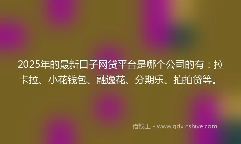 2025年的最新口子网贷平台是哪个公司的有：拉卡拉、小花钱包、融逸花、分期乐、拍拍贷等。