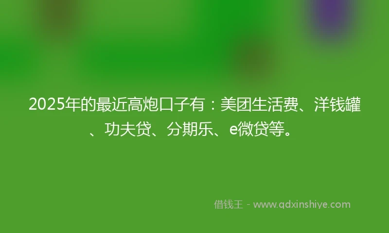 2025年的最近高炮口子有:美团生活费、洋钱罐、功夫贷、分期乐、e微贷等。