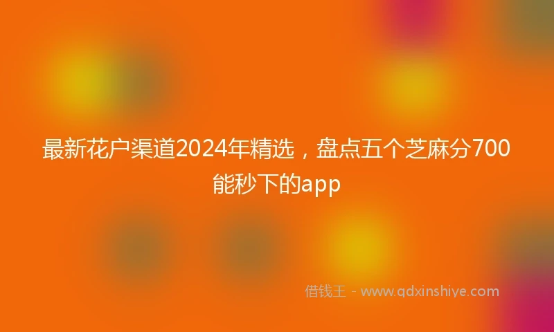 最新花户渠道2024年精选，盘点五个芝麻分700能秒下的app