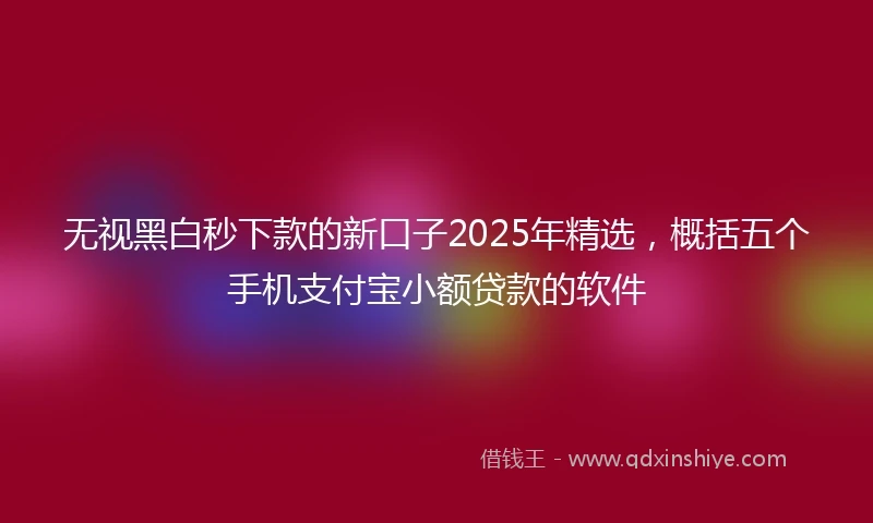无视黑白秒下款的新口子2025年精选，概括五个手机支付宝小额贷款的软件