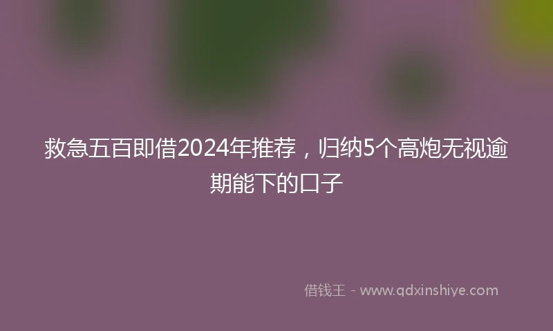 救急五百即借2024年推荐，归纳5个高炮无视逾期能下的口子
