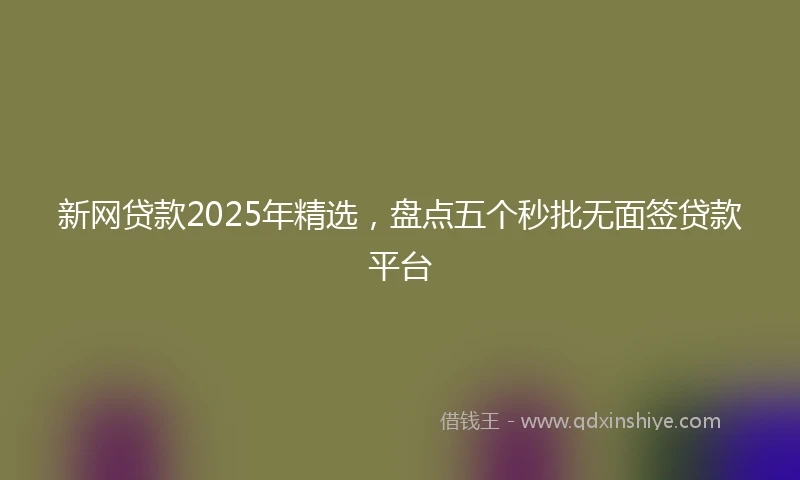 新网贷款2025年精选，盘点五个秒批无面签贷款平台