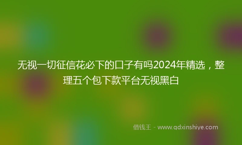 无视一切征信花必下的口子有吗2024年精选，整理五个包下款平台无视黑白