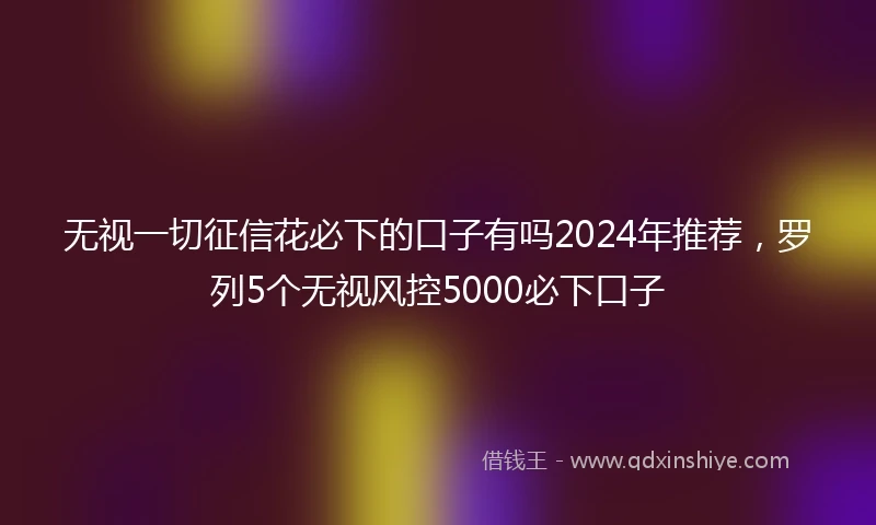无视一切征信花必下的口子有吗2024年推荐，罗列5个无视风控5000必下口子