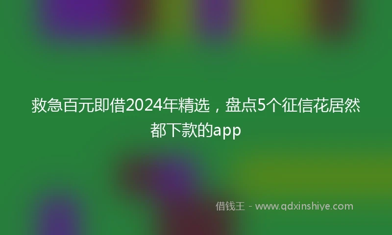 救急百元即借2024年精选，盘点5个征信花居然都下款的app