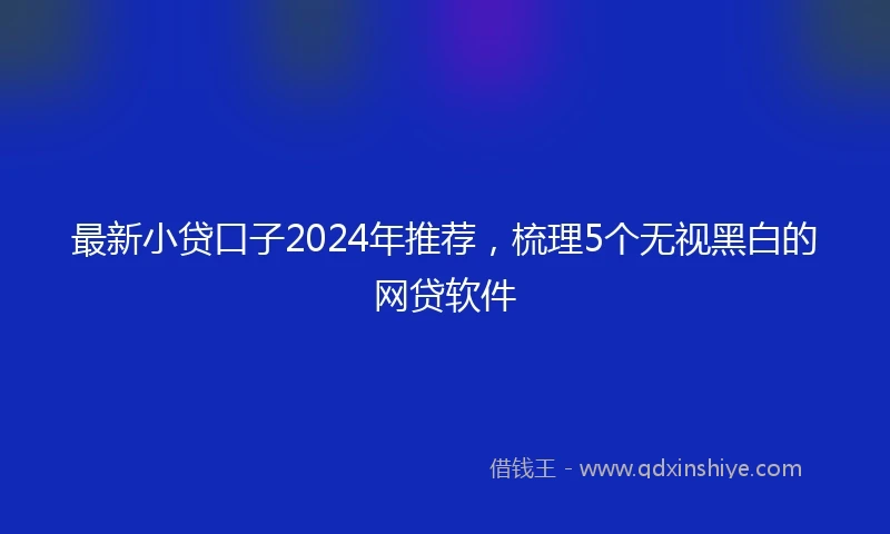 最新小贷口子2024年推荐，梳理5个无视黑白的网贷软件