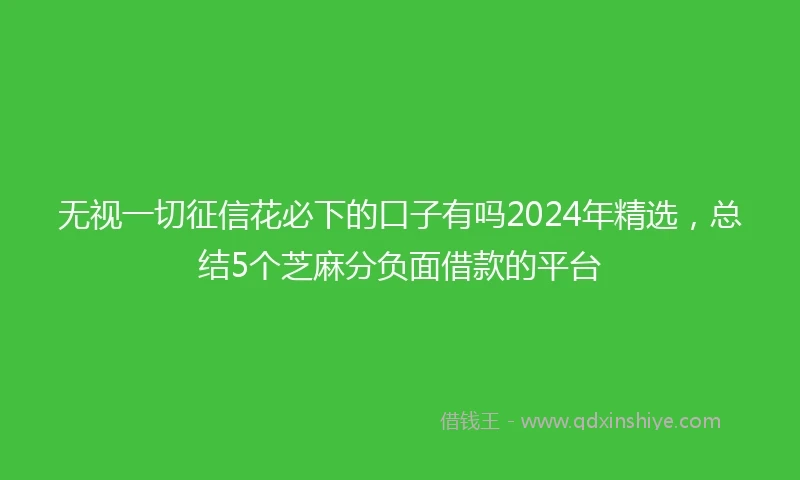 无视一切征信花必下的口子有吗2024年精选，总结5个芝麻分负面借款的平台