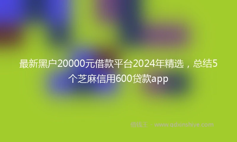 最新黑户20000元借款平台2024年精选，总结5个芝麻信用600贷款app
