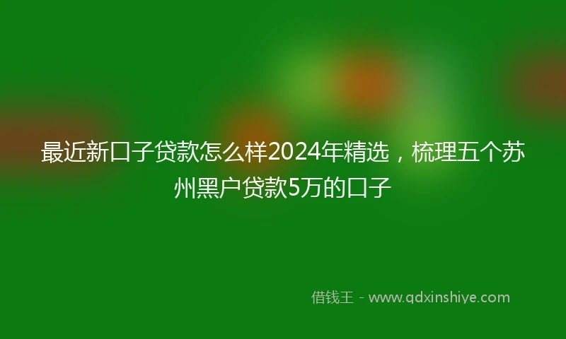 最近新口子贷款怎么样2024年精选，梳理五个苏州黑户贷款5万的口子