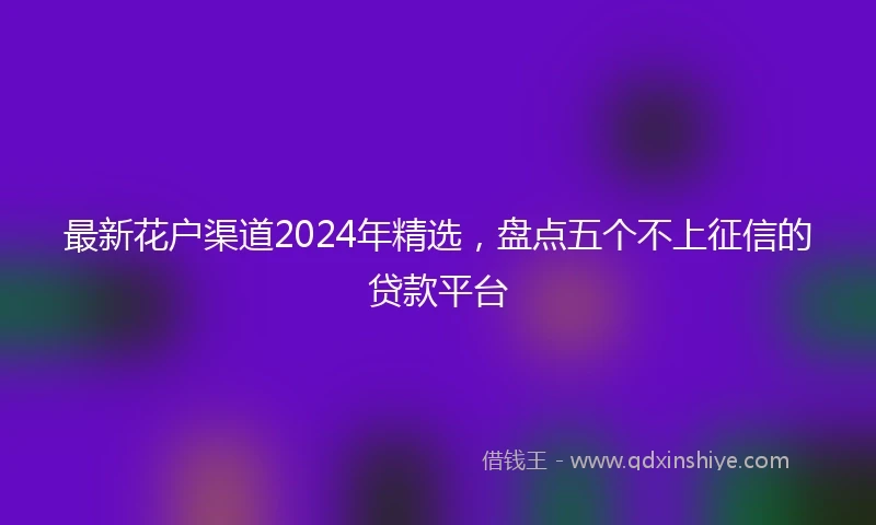 最新花户渠道2024年精选，盘点五个不上征信的贷款平台