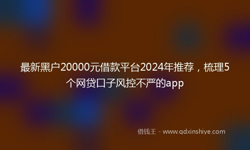 最新黑户20000元借款平台2024年推荐，梳理5个网贷口子风控不严的app