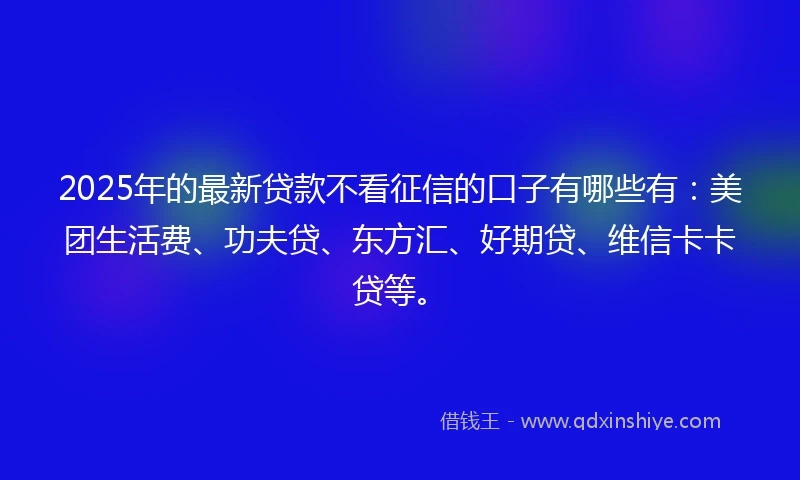 2025年的最新贷款不看征信的口子有哪些有：美团生活费、功夫贷、东方汇、好期贷、维信卡卡贷等。
