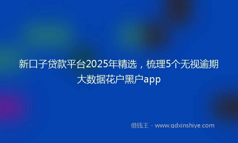 新口子贷款平台2025年精选，梳理5个无视逾期大数据花户黑户app