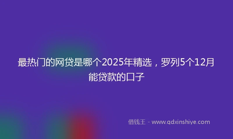 最热门的网贷是哪个2025年精选，罗列5个12月能贷款的口子