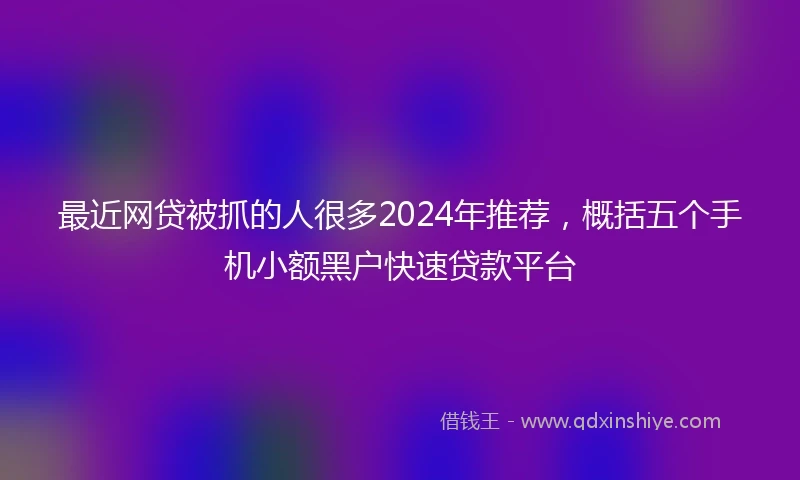 最近网贷被抓的人很多2024年推荐，概括五个手机小额黑户快速贷款平台
