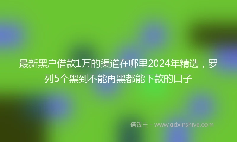 最新黑户借款1万的渠道在哪里2024年精选，罗列5个黑到不能再黑都能下款的口子