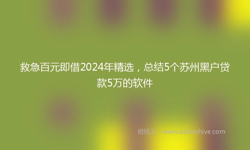 救急百元即借2024年精选，总结5个苏州黑户贷款5万的软件