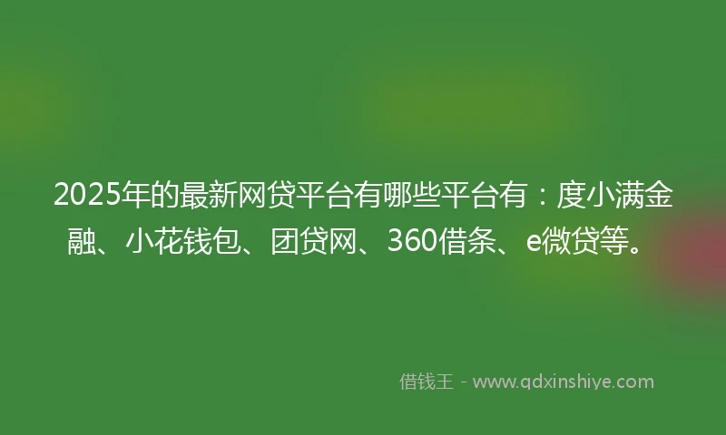 2025年的最新网贷平台有哪些平台有：度小满金融、小花钱包、团贷网、360借条、e微贷等。