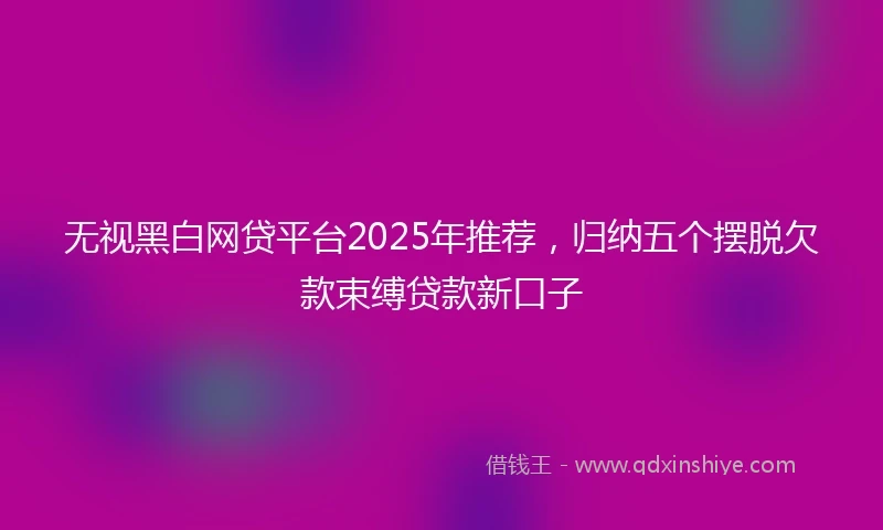 无视黑白网贷平台2025年推荐，归纳五个摆脱欠款束缚贷款新口子